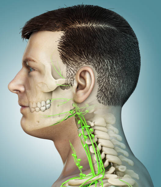 Picture show enlarge cervical lymph node and treatment at Santosh Homoeo Hall and clinic