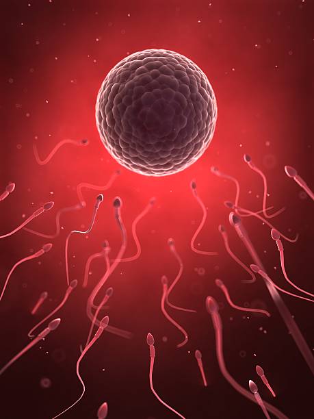 A picture of oligospermia and take homeopathic treatment at Santosh Homoeo Hall and Clinic