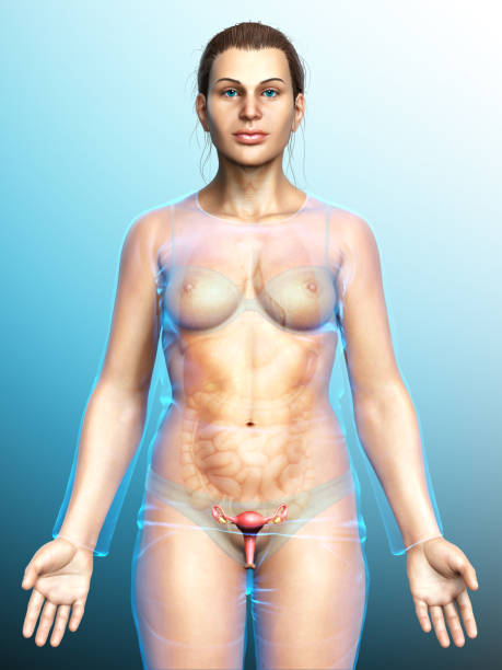 Lady show bulky uterus and take homeopathic treatment at Santosh Homoeo Hall and Clinic