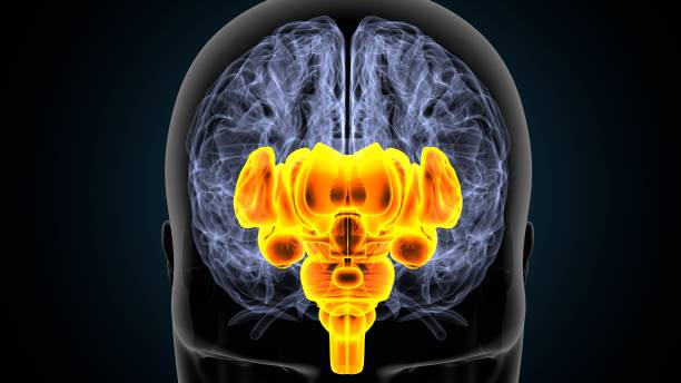 An image of Parkinson and take homeopathic treatment at Santosh Homoeo Hall and Clinic