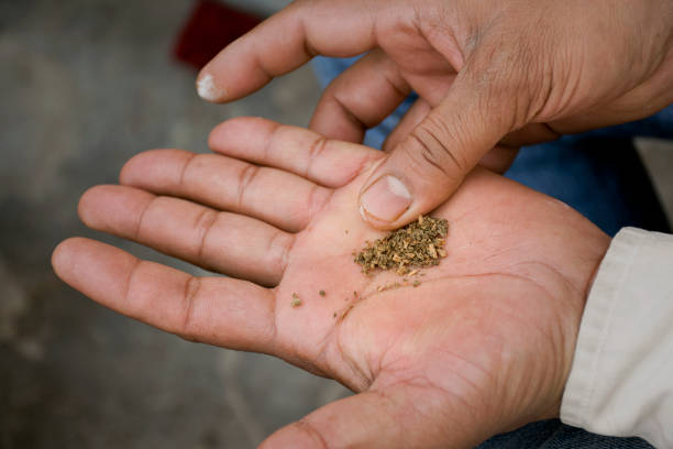 A picture of tobacco addiction, and take homeopathic treatment at Santosh homeo hall and clinic
